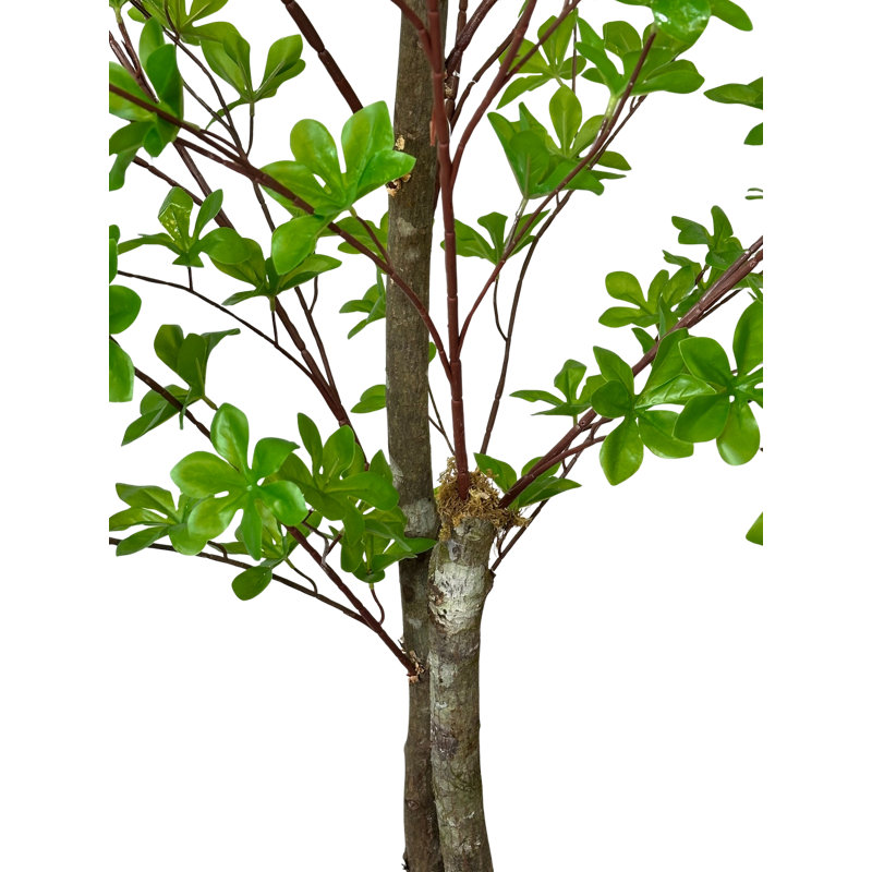 Arbre enkianthus artificiel fait à la main 6,5 pi avec bois véritable