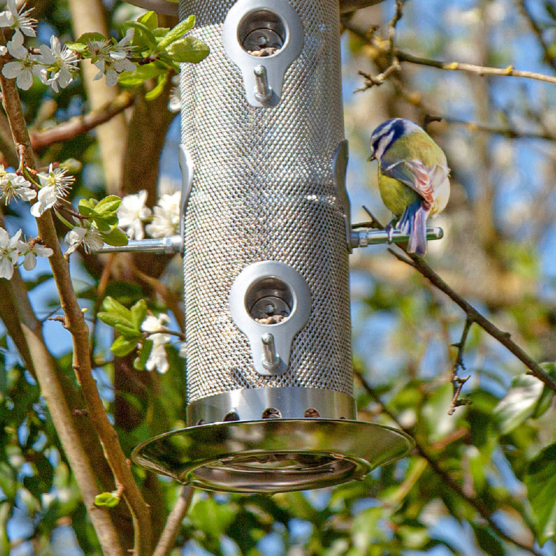 Casidy Hanging Tube Bird Feeder