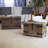 Victorian Style Decorative Trunk in Chinese Fir Wood with Metal Accents