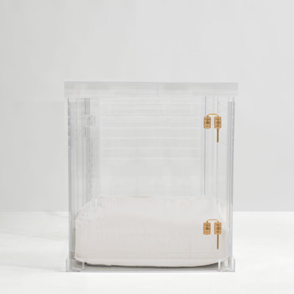 Hiddin Clear Acrylic Dog CratetoGate & Reviews Wayfair