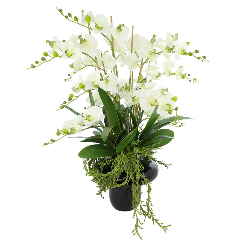 Orchids Arranged in Decorative Glass Vase