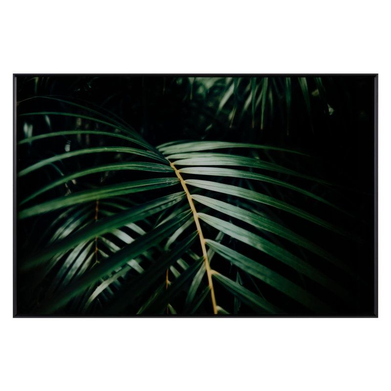Feuilles de safari encadrées sur verre