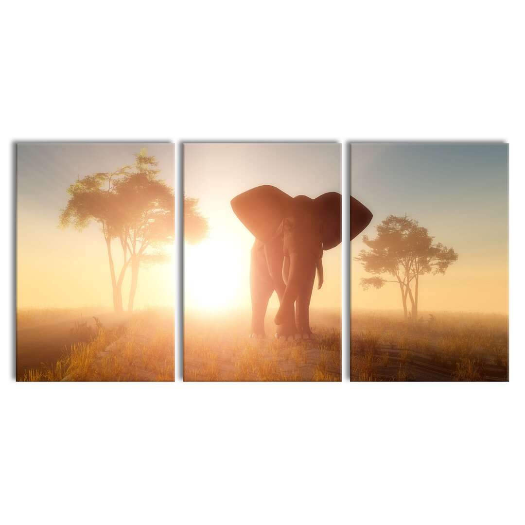 3-tlg. Leinwandbilder-Set Elephant in the Desert