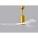 Patricia Ceiling Fan with LED Lights