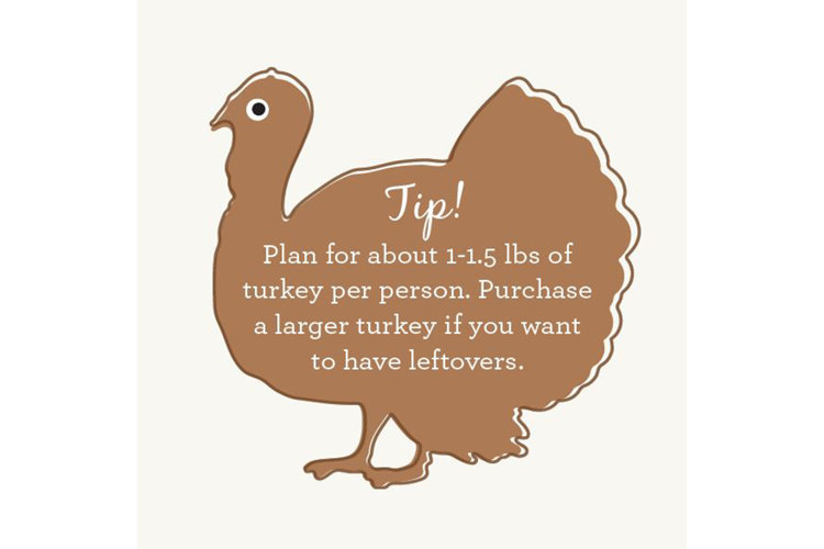 Turkey leftover tips