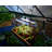 Palram - Canopia Brighton Grow Light