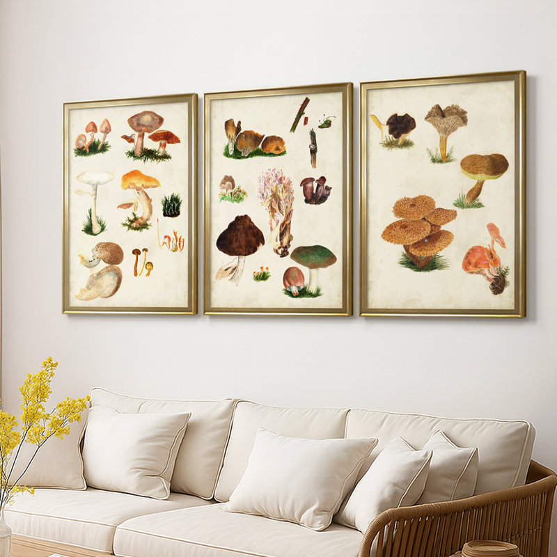 Mushroom Species IV - Toile tendue avec châssis sur mesure - 3 pièces, H 15 po x l 19 po, Doré