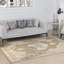 Machine Woven Beige/Cream/Grey/White Indoor Rug-97802156