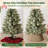 Plastic Tree Collar-137655578