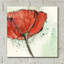 «Not A California Poppy 1» par Chris Paschke, art mural en verre acrylique-1771299065