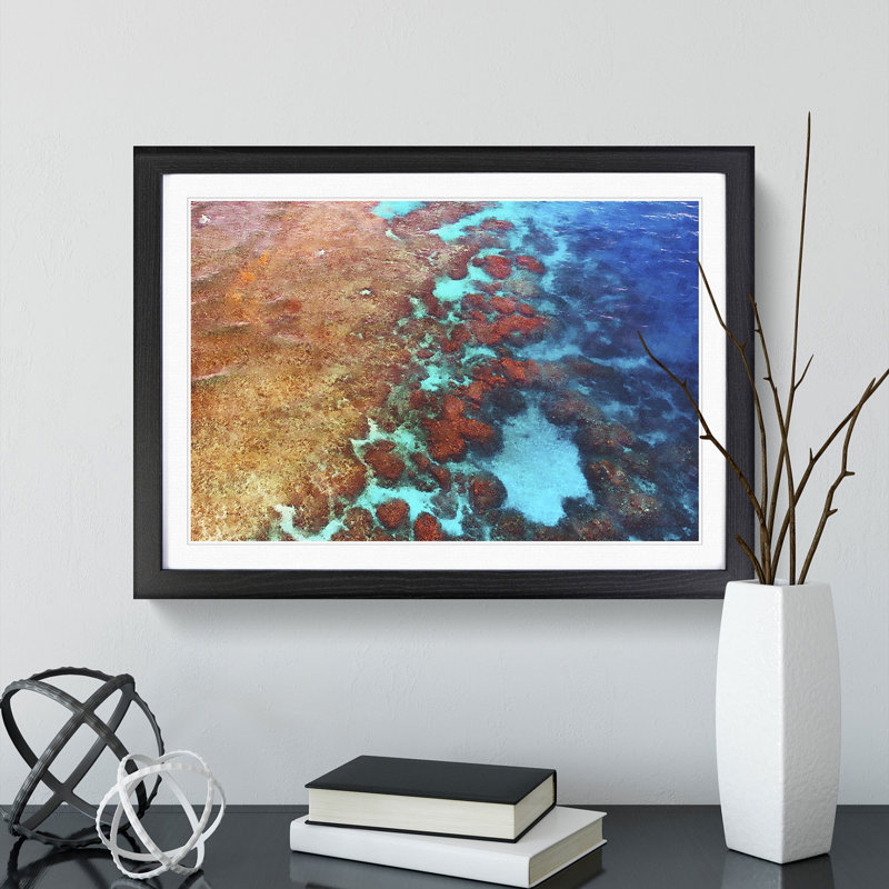 The Great Barrier Reef Coral - Picture Frame Graphic Art, 36cm H x 48cm W x 2cm D, Black