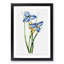 Blue Iris Flowers - Picture Frame Painting-57844607-57844606