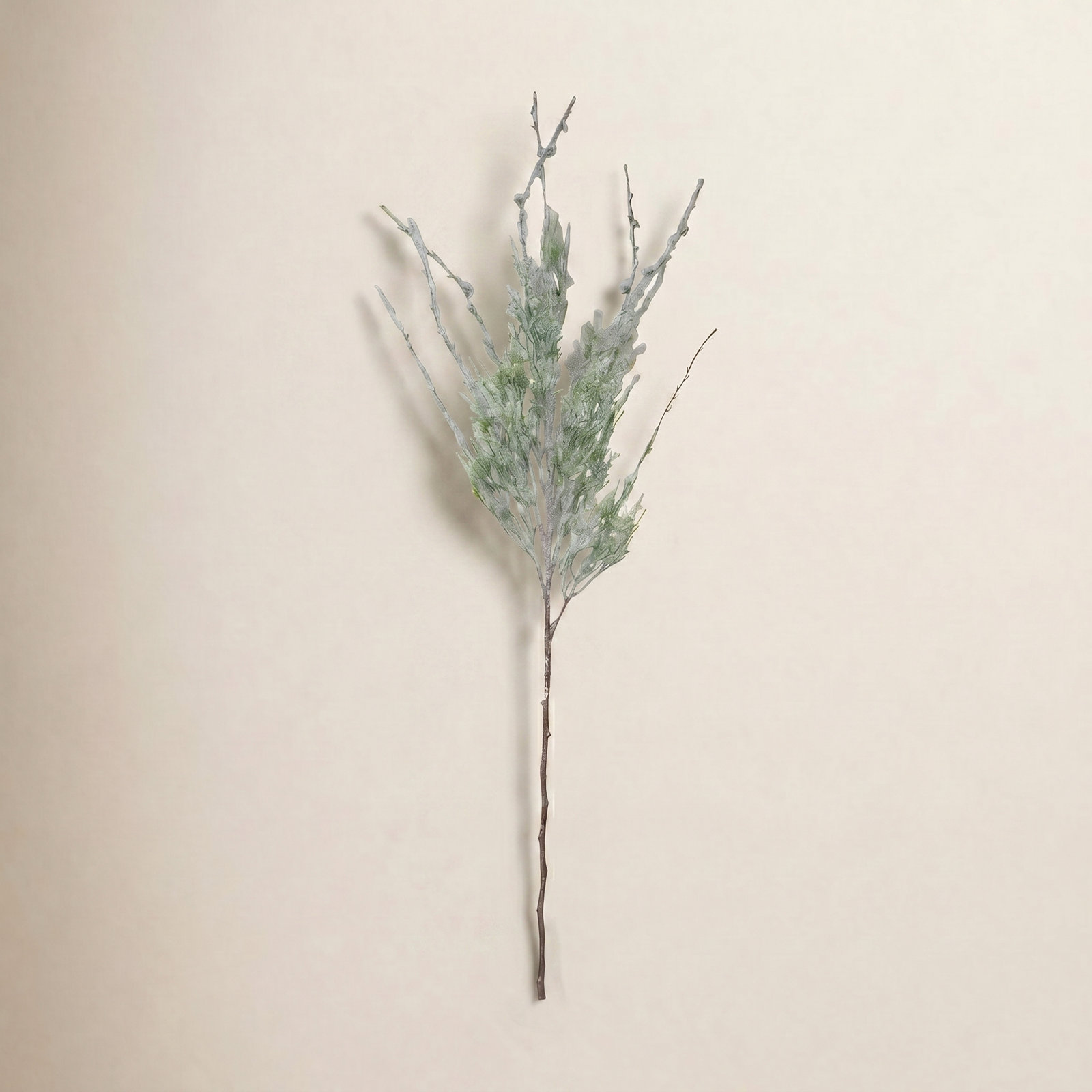 Pine Stems