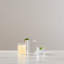 Walden Glass Drinking Glass-1338216731