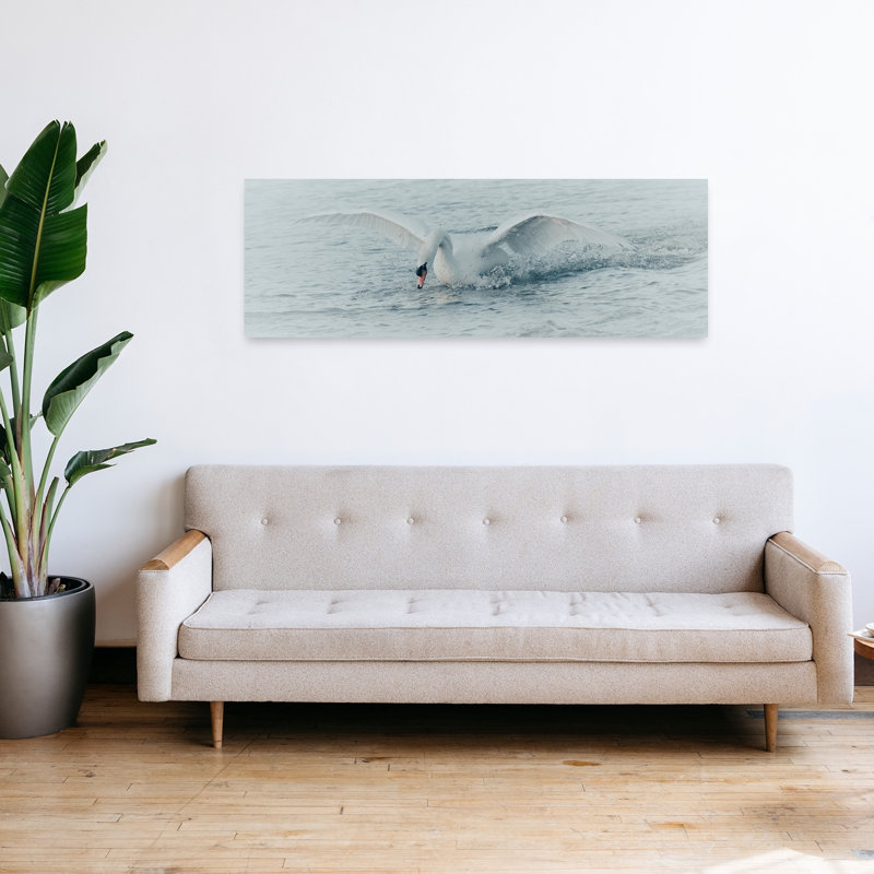 Cygne blanc, éclaboussure, sérénité, sérénité, oiseau, faune, H 16 po x l 48 po