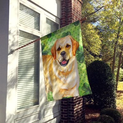 40 x 28 po en polyester à 2 côtés de la st patrick drapeau maison