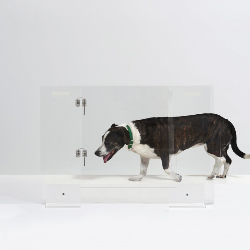 Clear Freestanding Pet Gate with Door, 36" W x 30" H