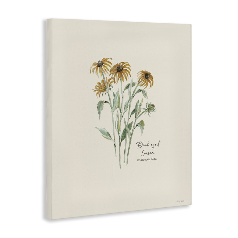 «Black Eyed Susans», art mural sur toile par Cindy Jacobs, H 30 po x l 24 po