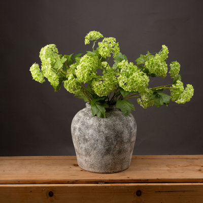 Hydrangea Arrangement