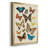 " Collected Flutter II "-136436277-136436276