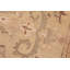 Tapis oriental brun clair en laine noué à la main 8 pi x 10 pi 2 po Baccio