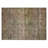 Machine Washable Indoor/Outdoor Cicel ACN1171 Cactus Rug-100339914