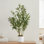 Arbre en pot artificiel 2 pi. Faux plante avec 22 fruits. Faux arbre à base de ciment pour décoration intérieure et extérieure