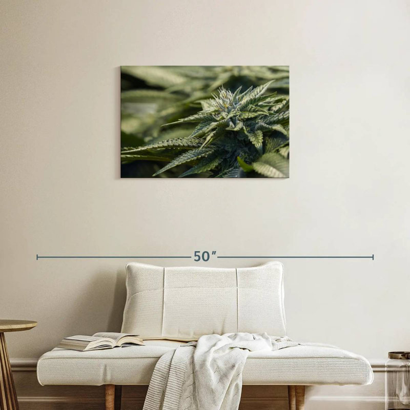 Crystallized Marijuana Plant, 20" H x 30" W