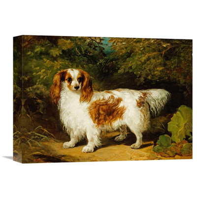 " A Blenheim Cavalier King Charles Spaniel " by H. Willis
