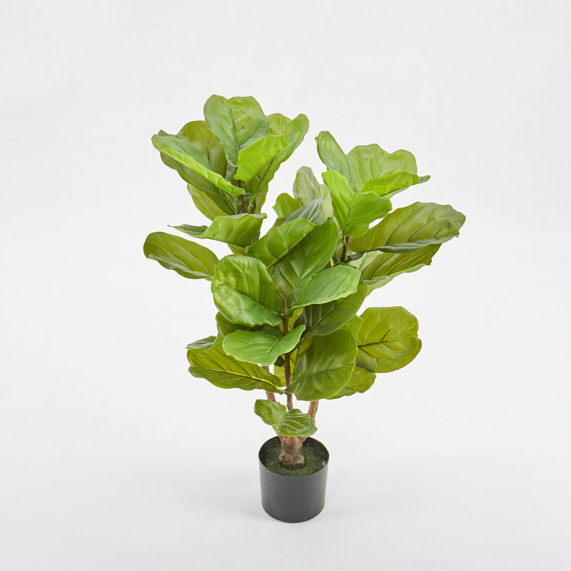 Artificial Fiddle Leaf Fig Tree 5Ft/7.2Ft, 35" x 22"