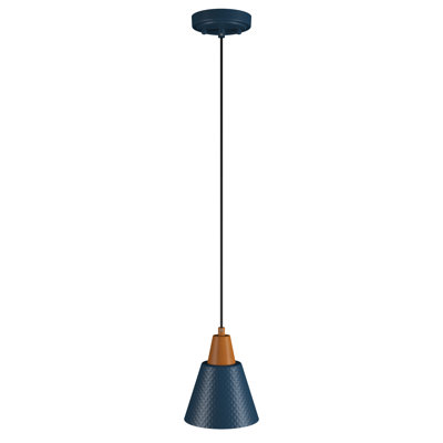 1 - Light Single Pendant