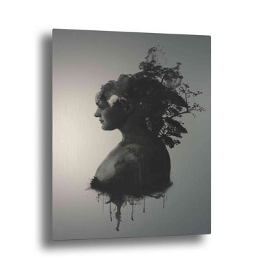 Brushed Aluminum