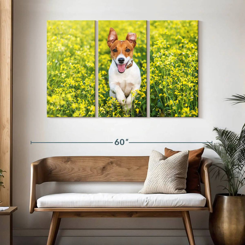 Brampt Happy Jack Russell, H 32 po x l 50 po