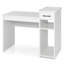 Neliyah Computer Desk-1125872848