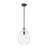 Glowlite 1-Light Single Clear Glass Teardrop Pendant-1772985445