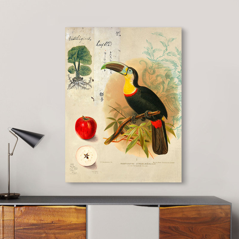 Cabinet Of Curiosities N. 4 by Joannoo - Wrapped Canvas Print, 100cm H x 70cm W x 4cm D