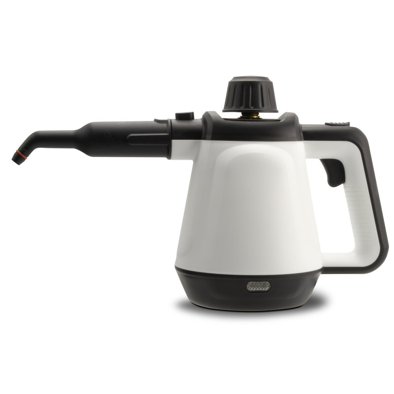 Multi Surface Steamer