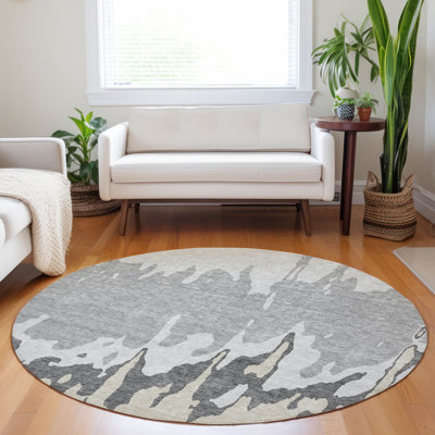  Chayden Area Rug with Non-Slip Backing