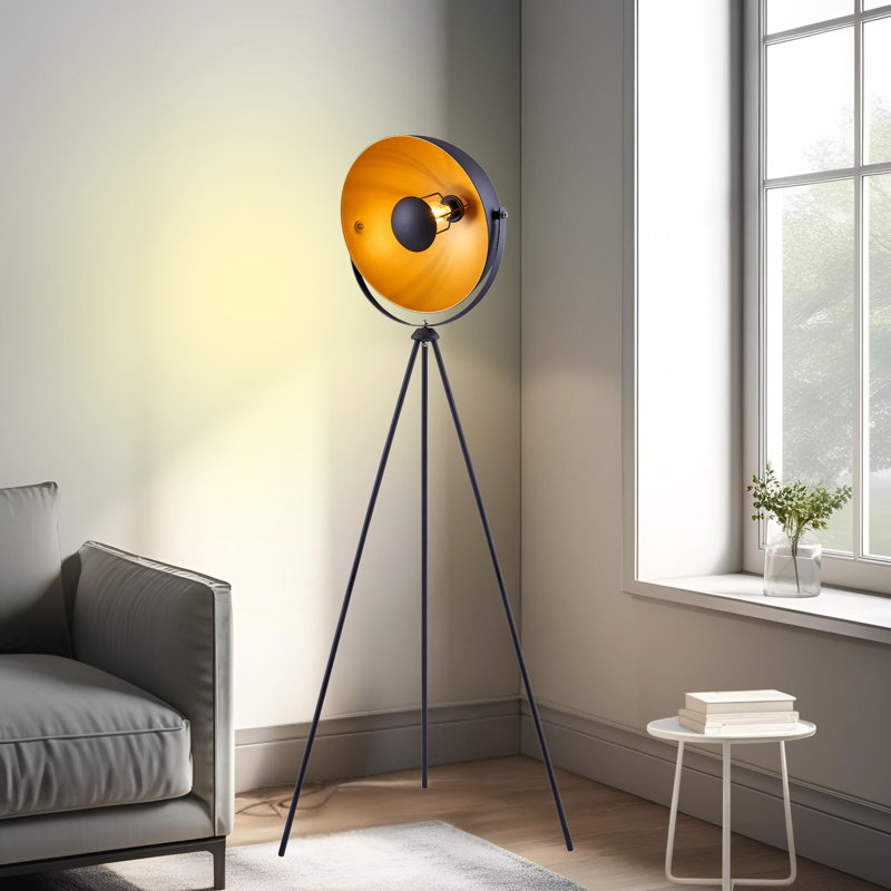 Brockington 63'' Matte Tripod Floor Lamp, Black/Gold