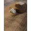 Tapis Furnish My Place-1341410330