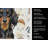 Longhaired Black and Tan Dachshund Coffee Bar Kitchen Towel-1168062674