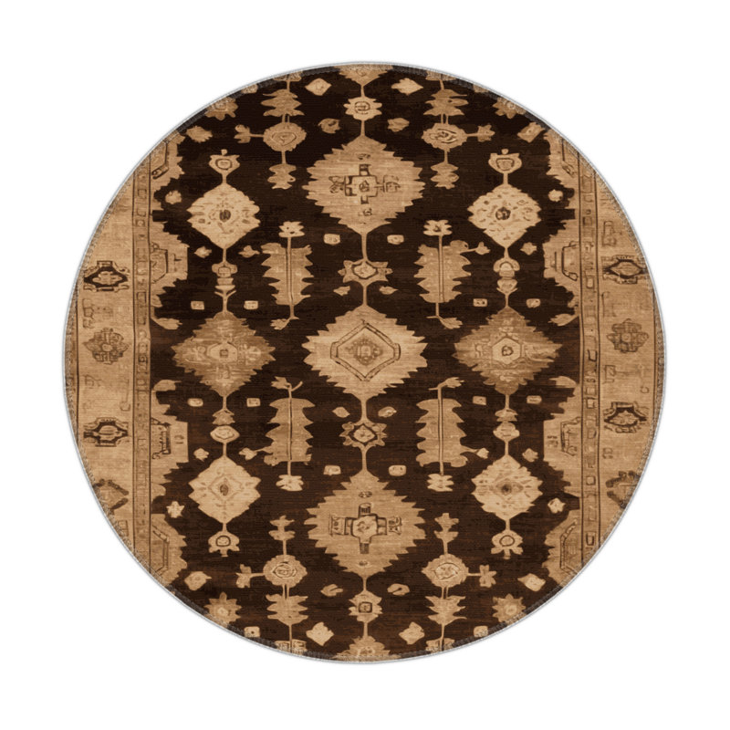 Tapis intérieur et extérieur brun Overdyed, Rond 5 pi