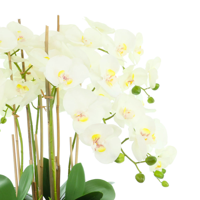 Orchid Arrangement in Round Fiberstone Pot, 27"H x 26"W x 26"D