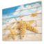 «Message in Bottle Buried in Sand», photographie-34270826-35222413