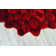 Andreoni Floral Indoor Rug