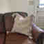 Customer photo 4 of 5