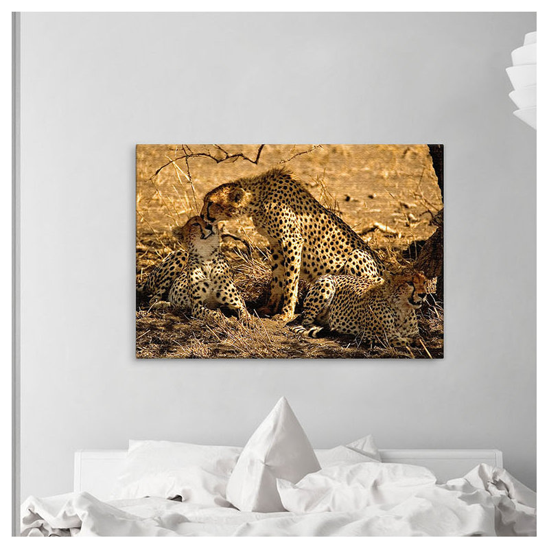 Print on Canvas, 100cm H x 150cm W x 4cm D