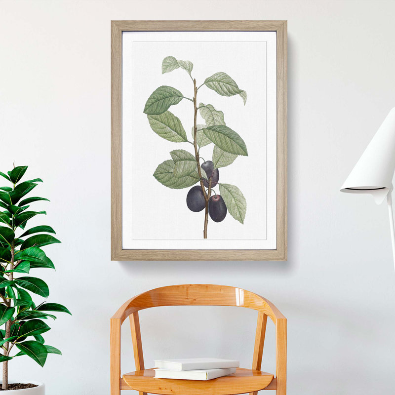 Prune Tree by Pierre-Joseph Redoute - Picture Frame Painting Print, Oak Framed, 65cm H x 48cm W x 2cm D