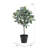 Faux Olive Tree Tree in Pot Liner-1109084349