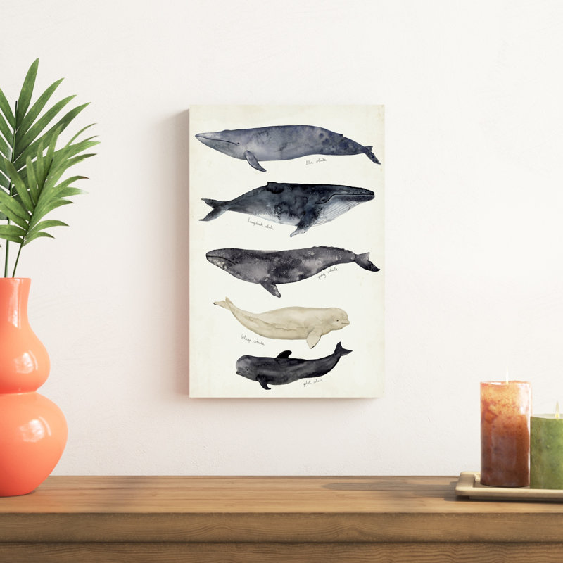 Carte des baleines II, H 18 po x l 12 po